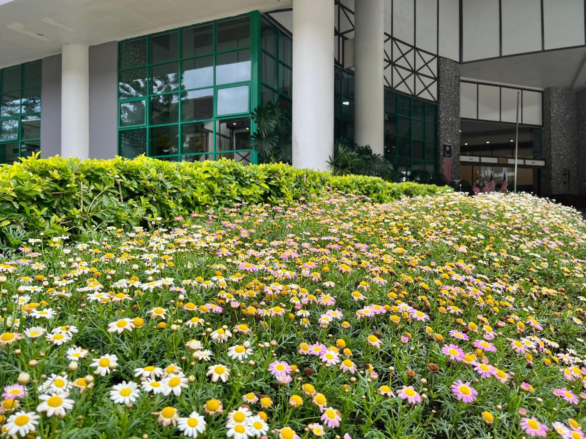 Copthorne Cameron Highlands Exterior foto